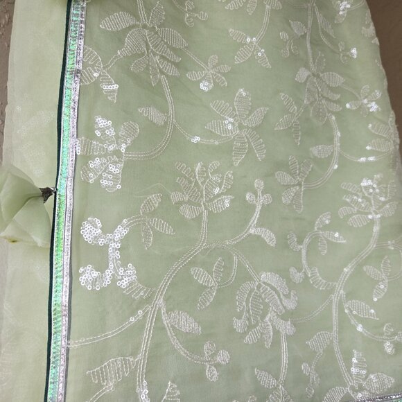 Light Green Organza Saree NEGOTIABLE - Picture 4 of 10
